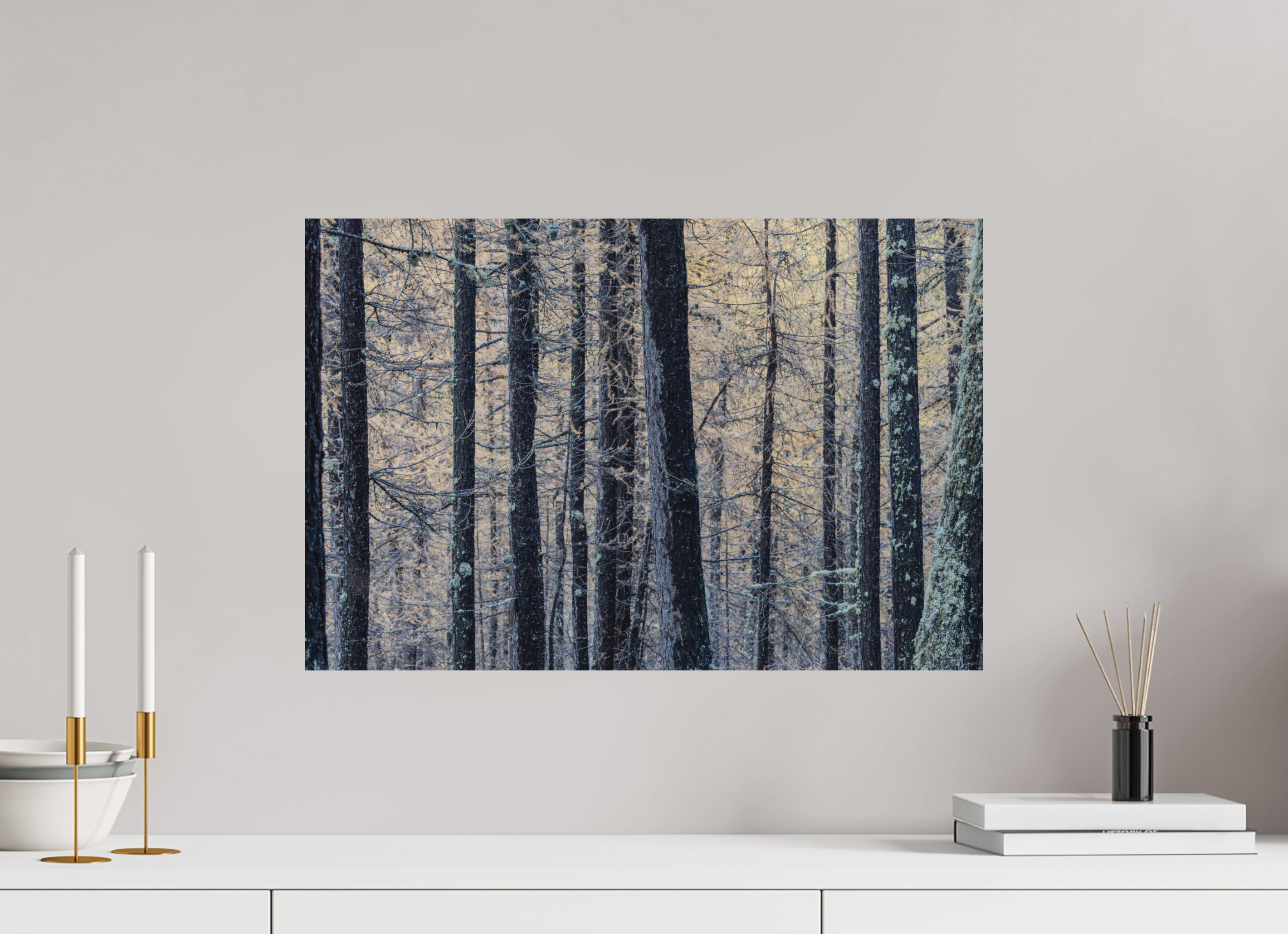 60 x 40 cm, Tirage Fine Art mat Entre les lignes