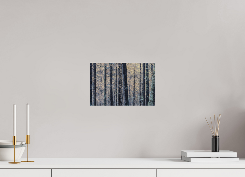 30 x 20 cm, Tirage Fine Art mat Entre les lignes