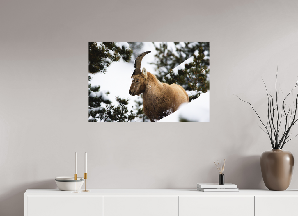 90 x 60 cm, Tirage Fine Art mat Surpris