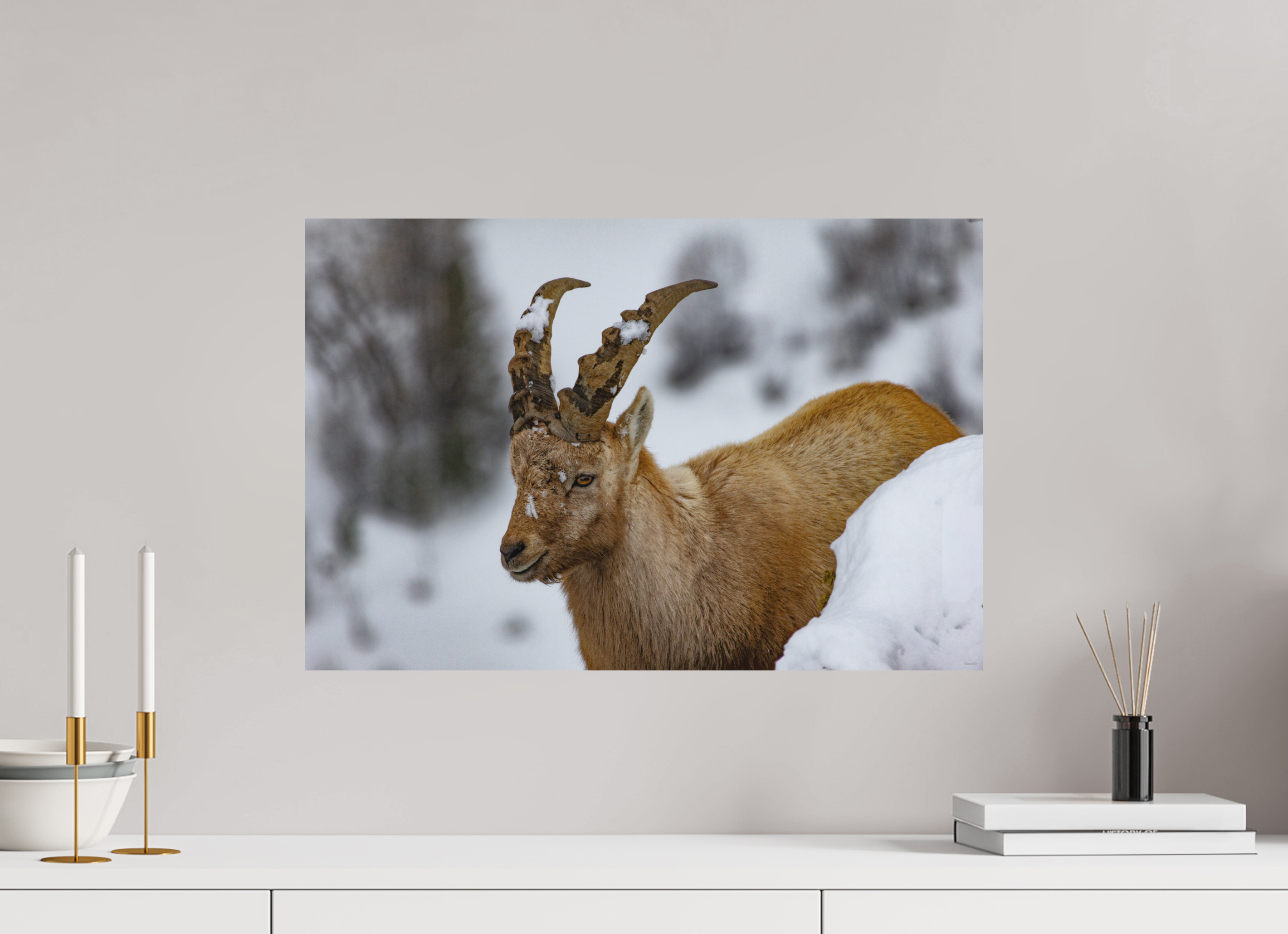 60 x 40 cm, Tirage Fine Art mat La patience du monde