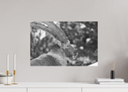 60 x 40 cm, Tirage Fine Art mat Le roi