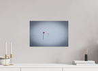 45 x 30 cm, Tirage Fine Art mat Fil d'ariane