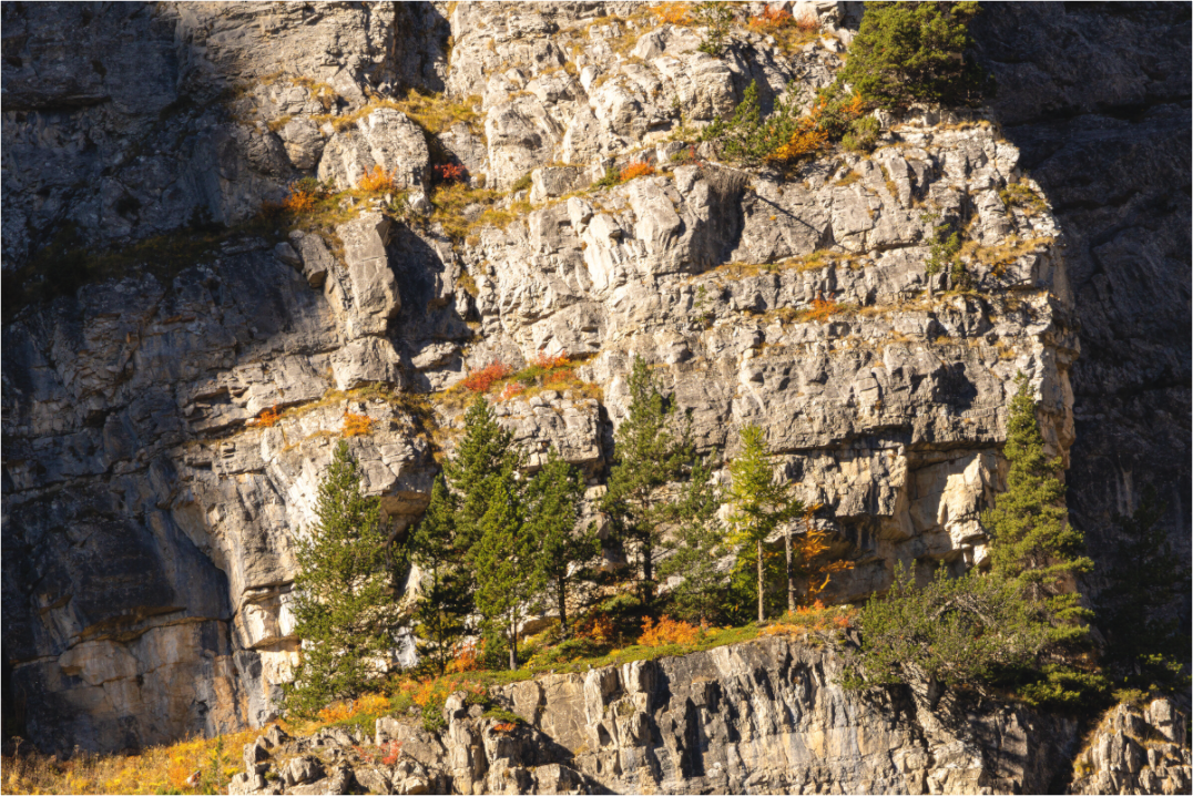 Main image Accrochés à la lumière