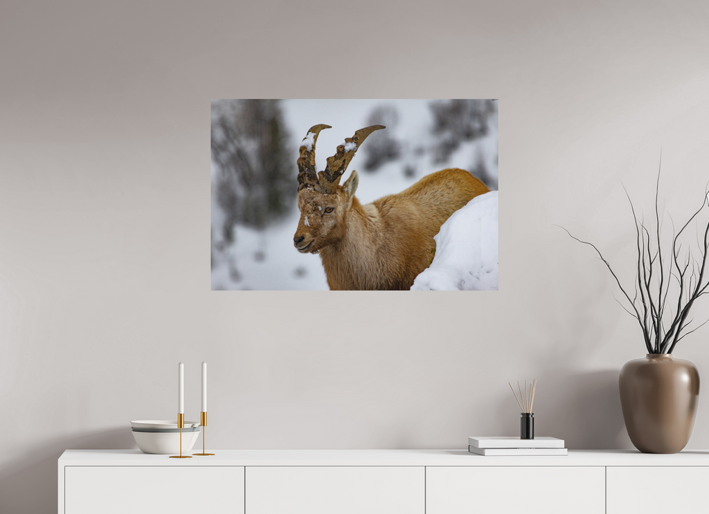 90 x 60 cm, Tirage Fine Art mat La patience du monde