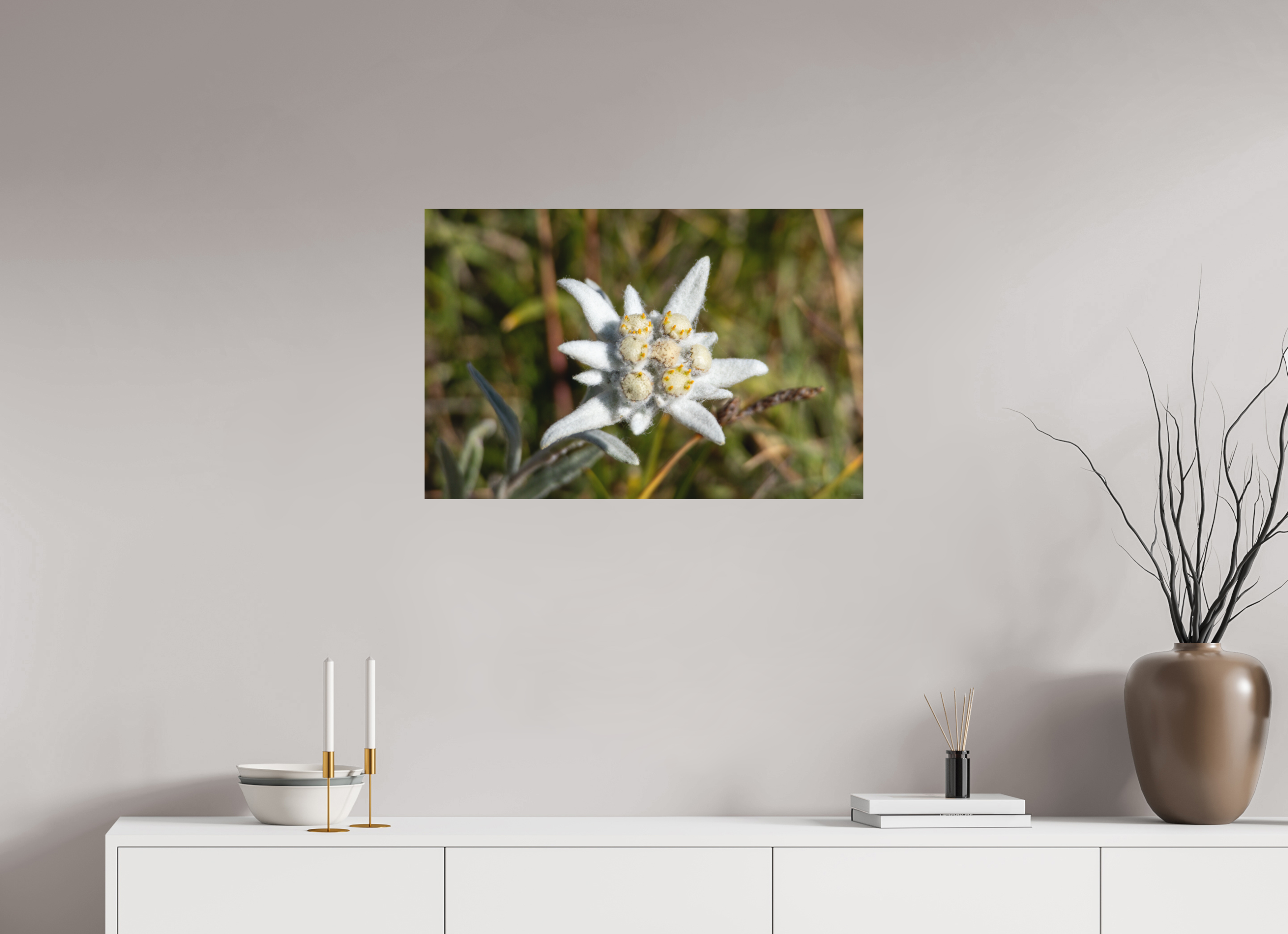 75,6 x 50 cm, Tirage Fine Art mat Fleur sacrée