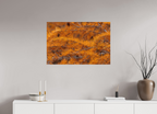 90 x 60 cm, Tirage Fine Art mat Coucher de sève
