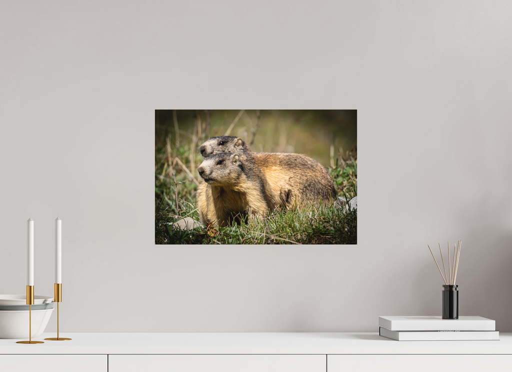 45 x 30 cm, Tirage Fine Art mat Complicité