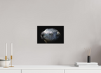 30 x 20 cm, Tirage Fine Art mat Regard miroir (N&B)