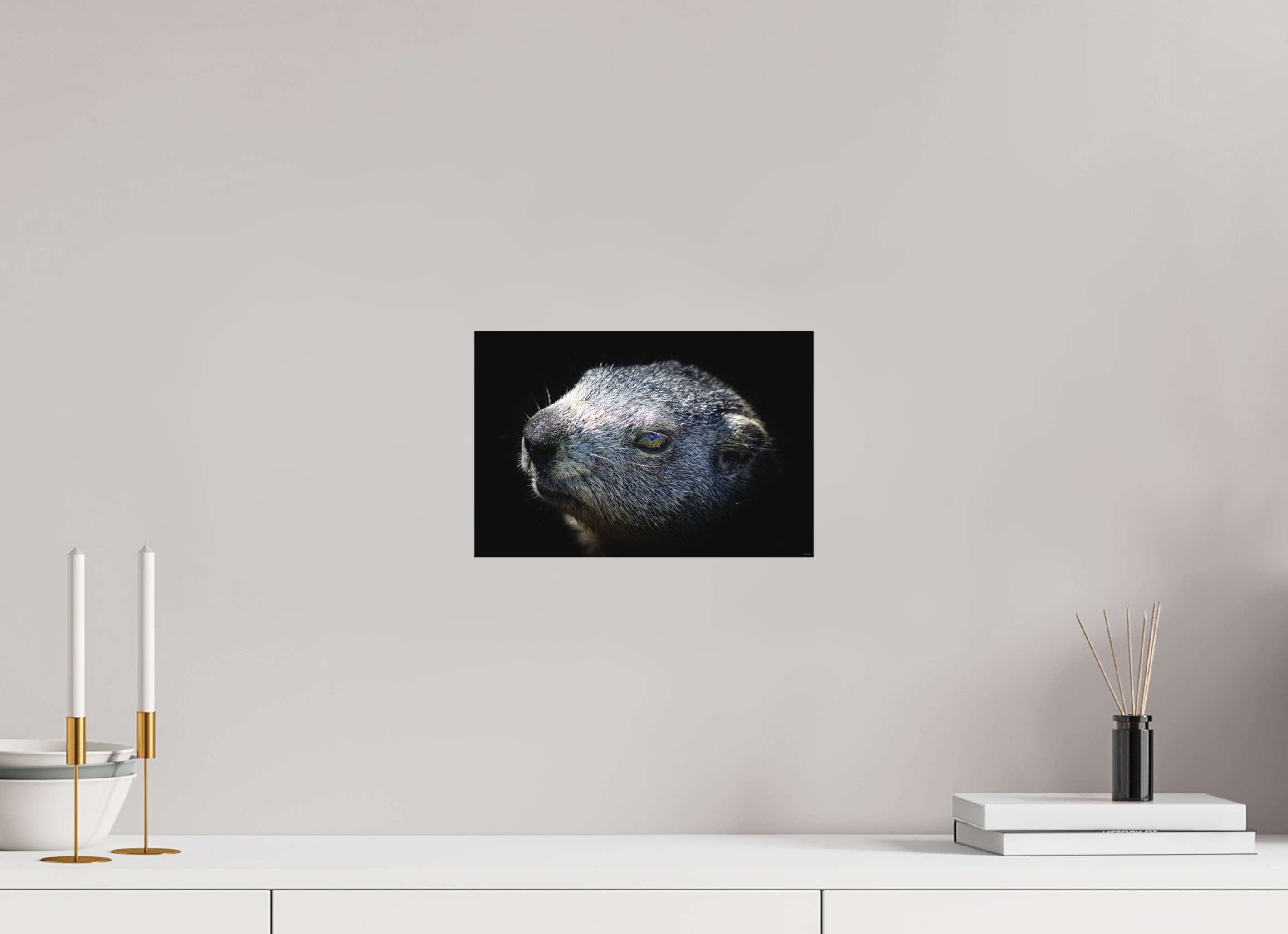 30 x 20 cm, Tirage Fine Art mat Regard miroir (N&B)