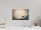 45 x 30 cm, Tirage Fine Art mat Apparition