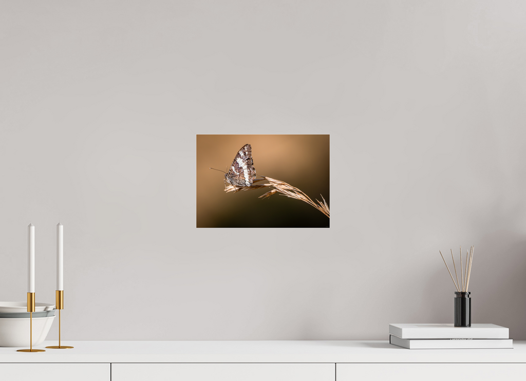 28,5 x 20 cm, Dibond verre brillant 2mm Suspendu à l'été