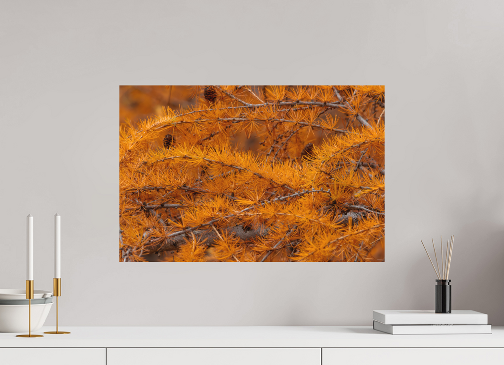 60 x 40 cm, Tirage Fine Art mat Coucher de sève