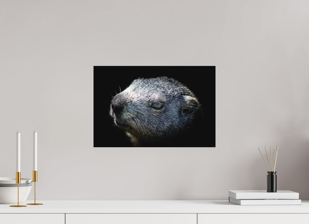 45 x 30 cm, Tirage Fine Art mat Regard miroir (N&B)