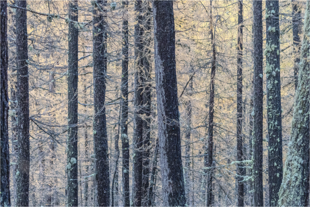 Main image Entre les lignes