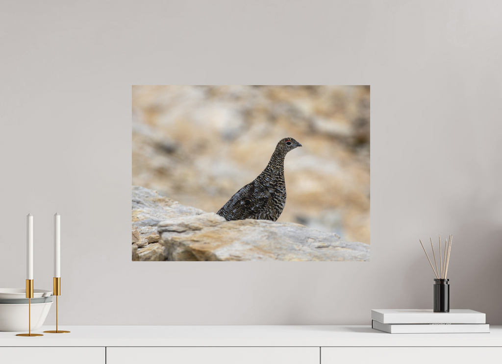 54,1 x 40 cm, Tirage Fine Art mat Gardienne