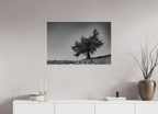 90 x 60 cm, Tirage Fine Art mat Ombrage