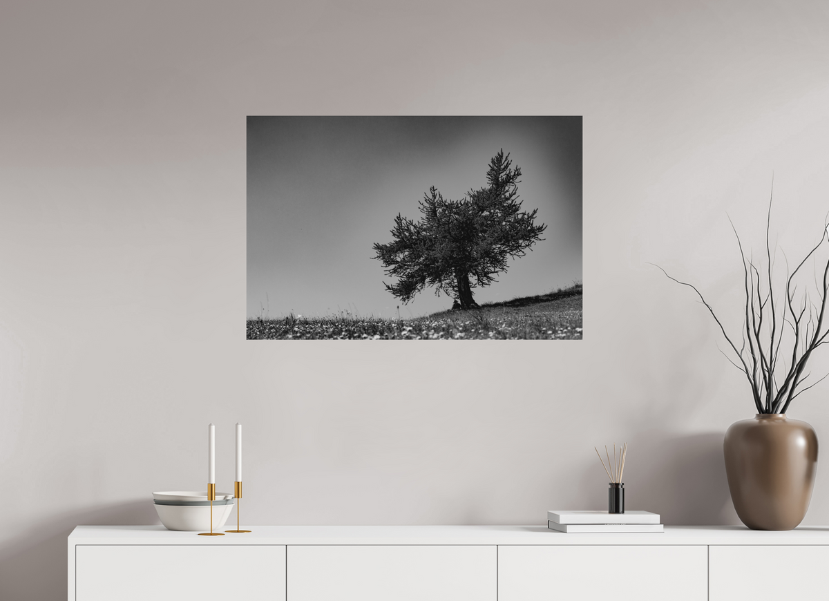 90 x 60 cm, Tirage Fine Art mat Ombrage