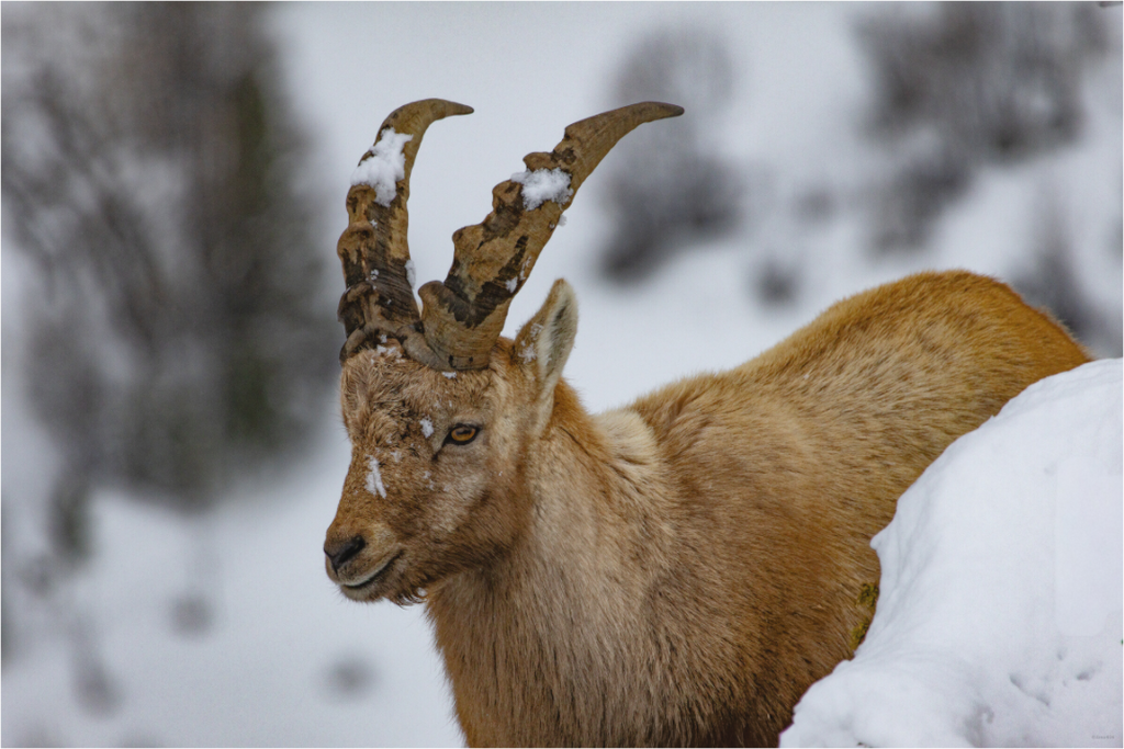 Main image La patience du monde