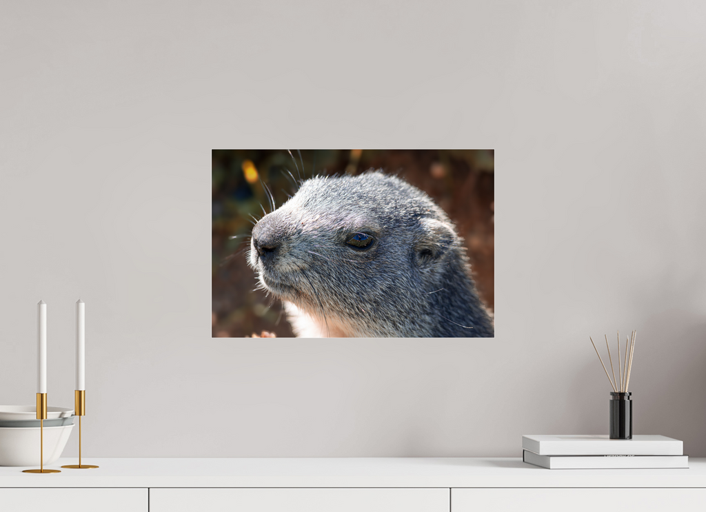 45 x 30 cm, Dibond verre brillant 2mm Dans son regard 2