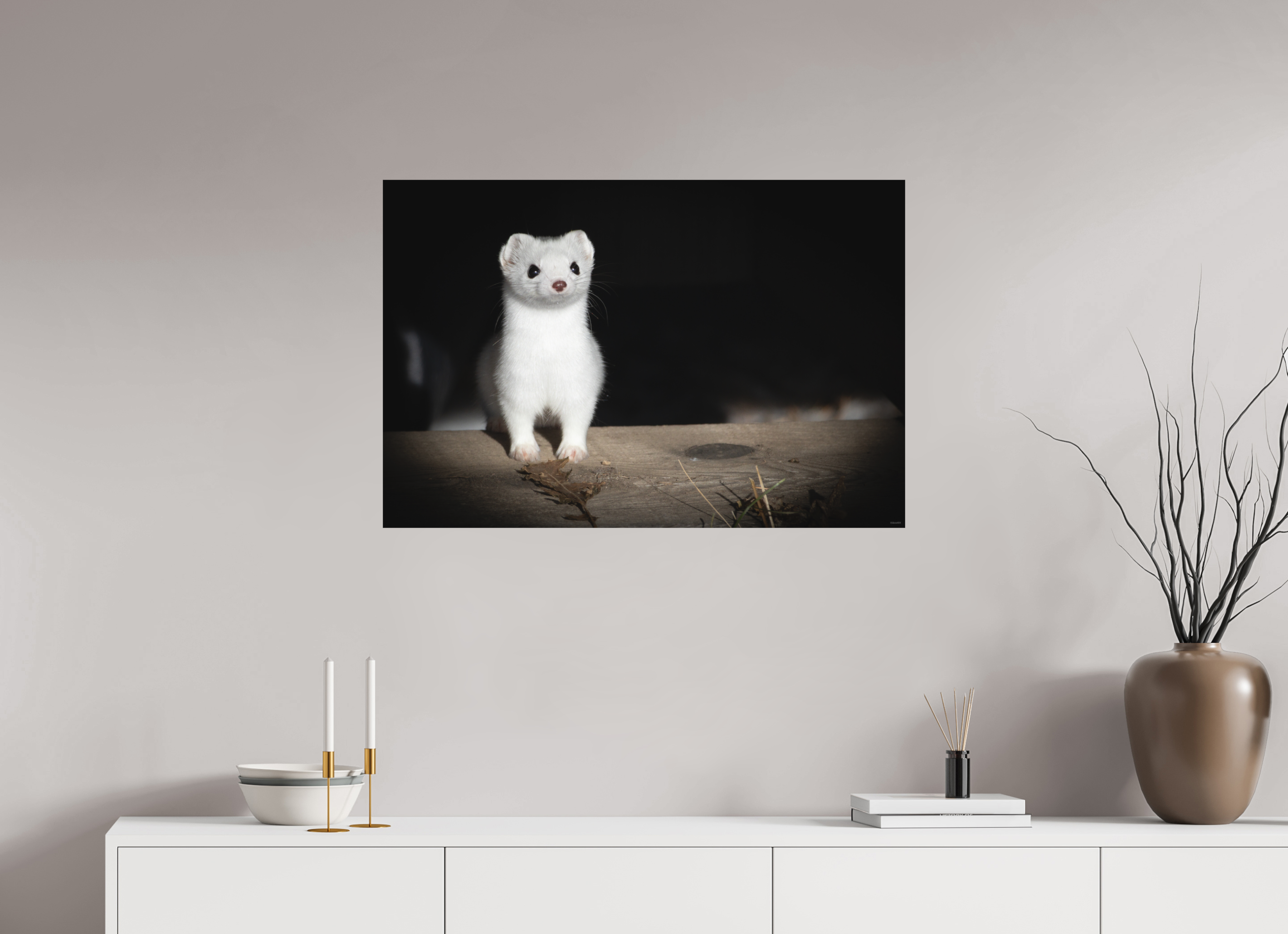 90 x 60 cm, Tirage Fine Art mat Curiosité