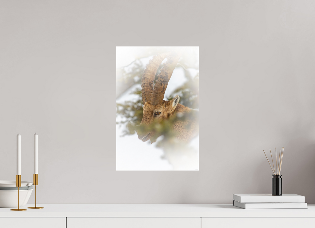 30 x 45 cm, Tirage Fine Art mat Présence voilée