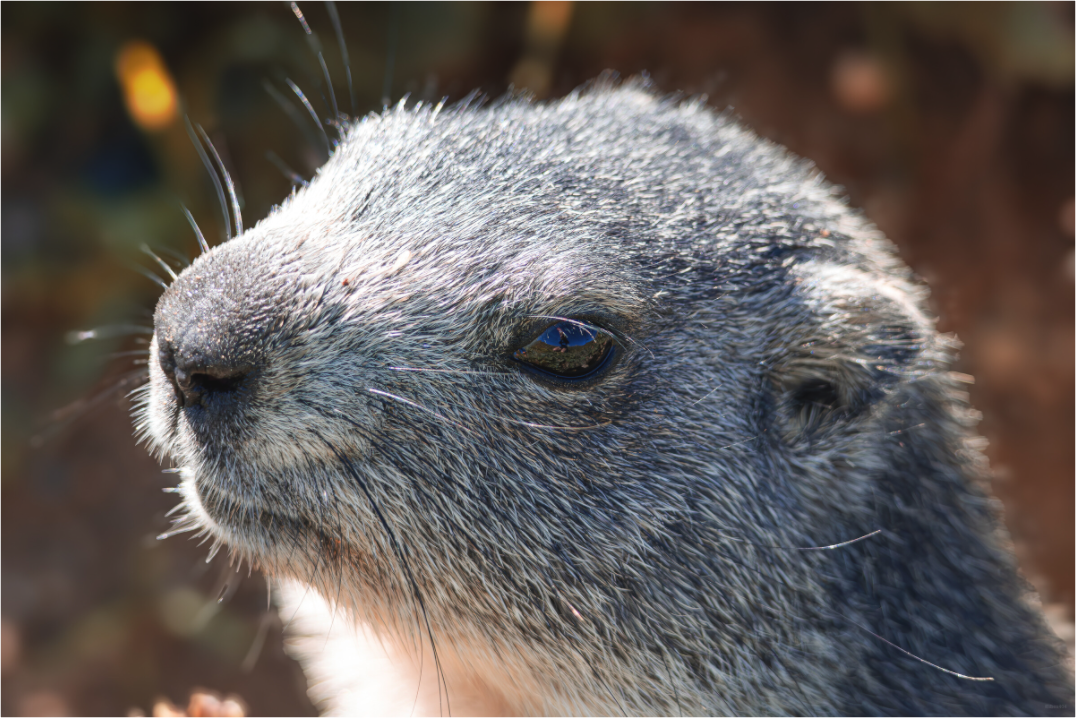 Main image Regard miroir