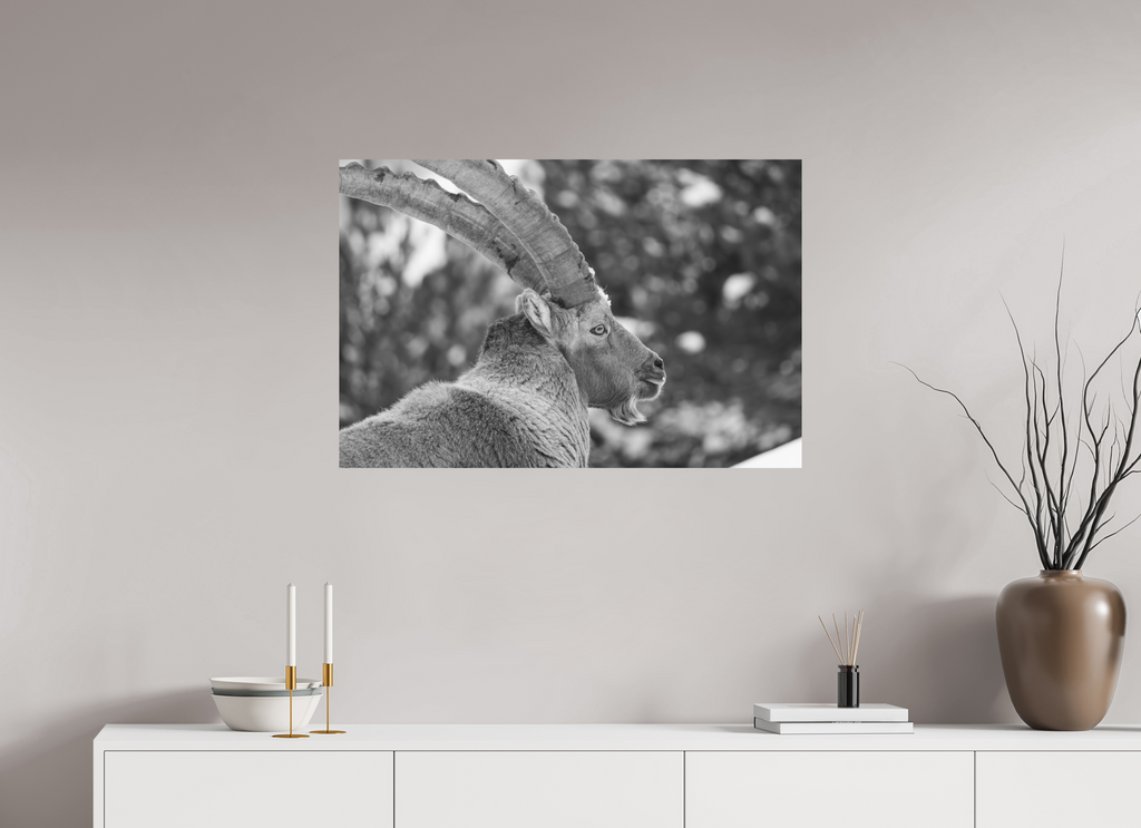 90 x 60 cm, Tirage Fine Art mat Le roi
