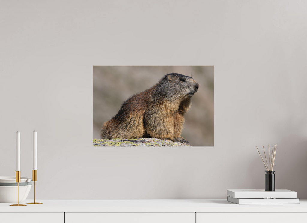 45 x 30 cm, Tirage Fine Art mat Figure alpine