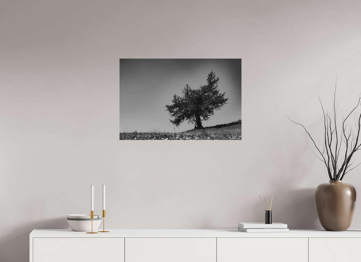75 x 50 cm, Tirage Fine Art mat Ombrage