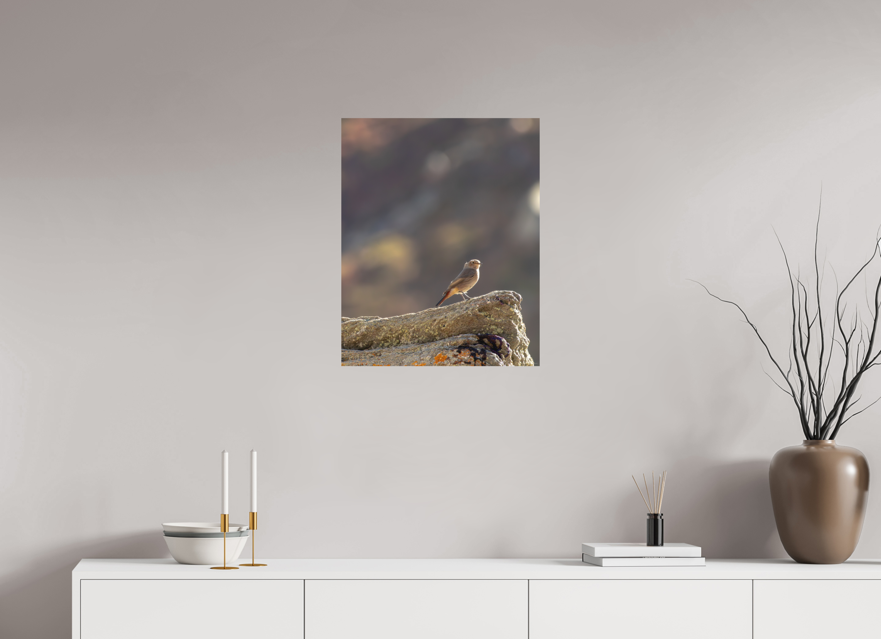 50 x 62,5 cm, Tirage Fine Art mat Rouge queue - veilleur du matin