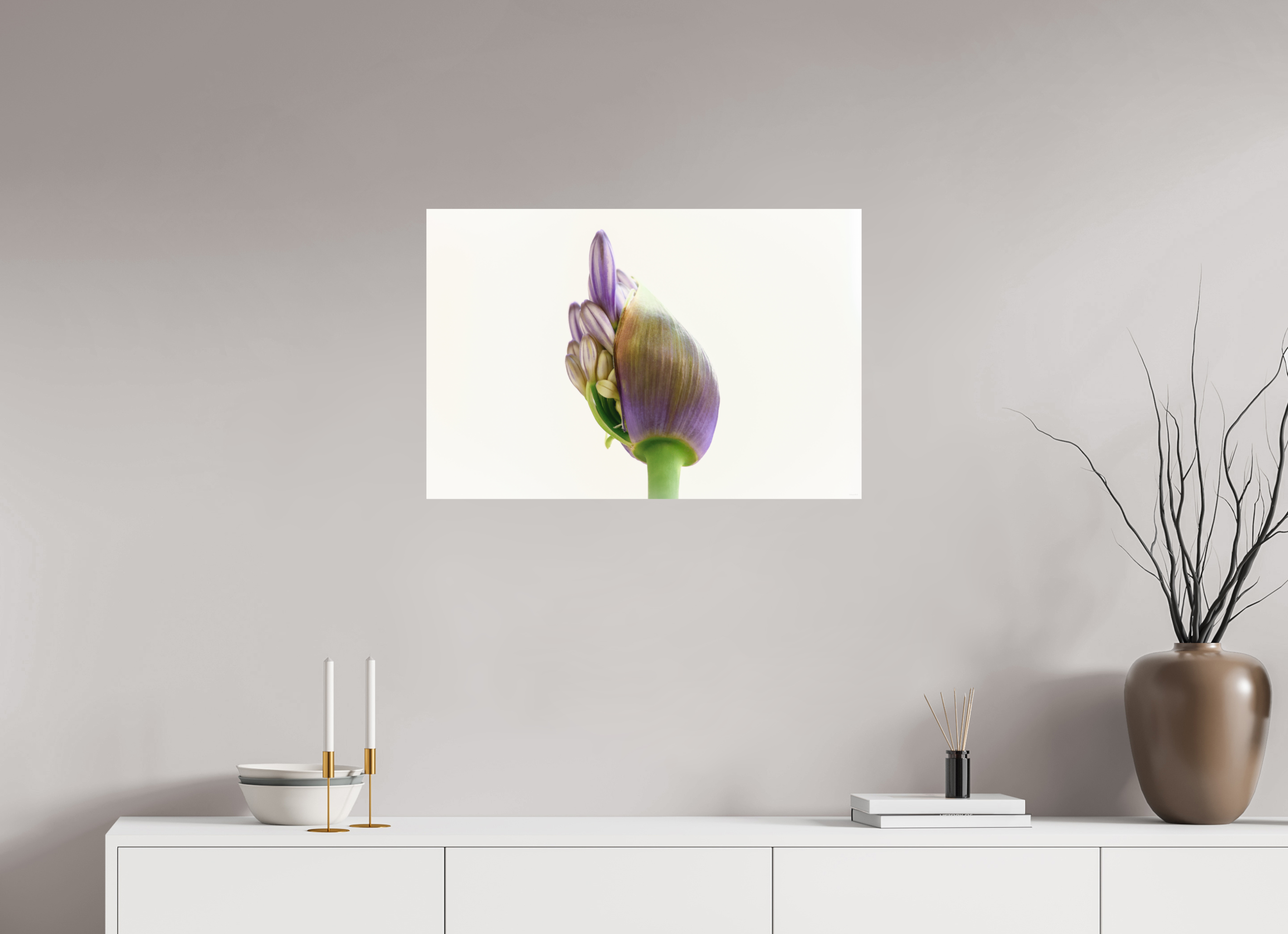 75 x 50 cm, Tirage Fine Art mat Agapanthe