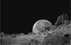 Main image Berceau de lune