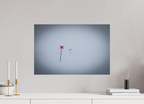 60 x 40 cm, Tirage Fine Art mat Fil d'ariane