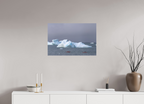 75 x 50 cm, Tirage Fine Art mat Mouvement