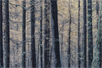 Main image Entre les lignes