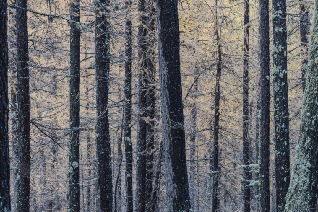 Main image Entre les lignes