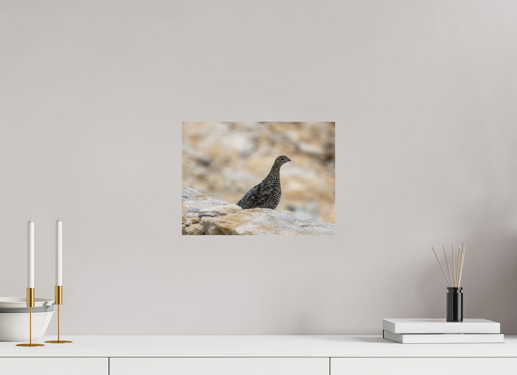 33,8 x 25 cm, Tirage Fine Art mat Gardienne