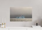 60 x 40 cm, Tirage Fine Art mat Solitude