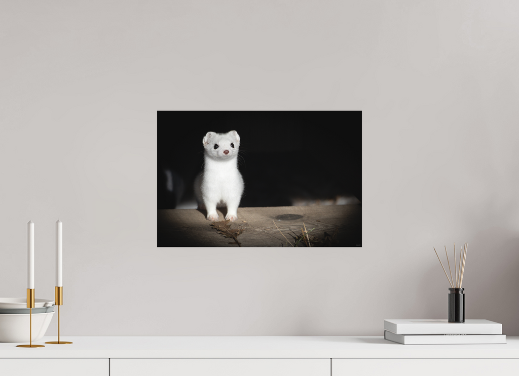 45 x 30 cm, Tirage Fine Art mat Curiosité