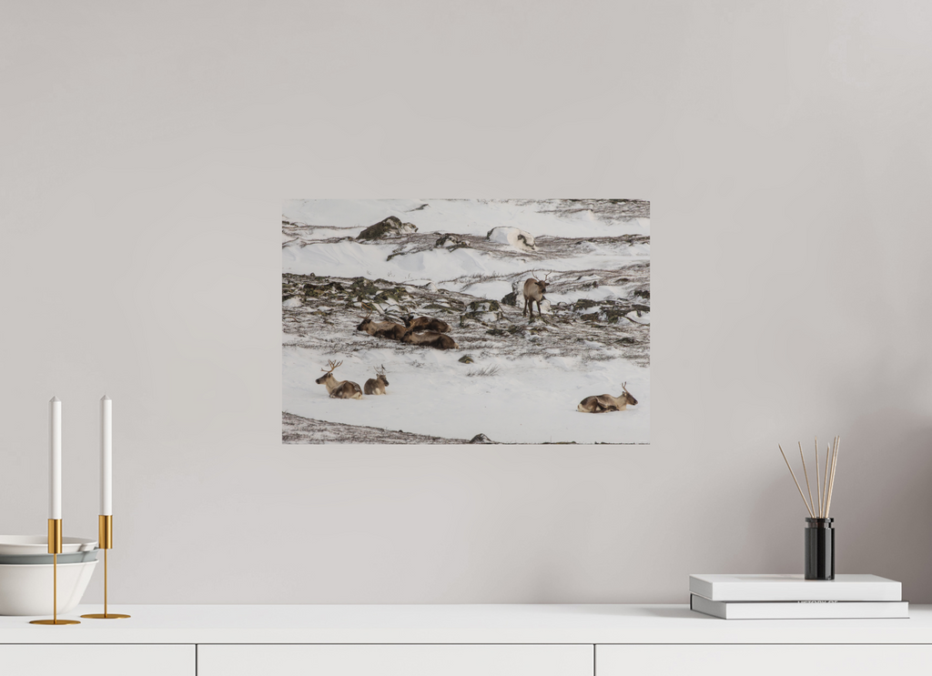 45 x 30 cm, Tirage Fine Art mat Repos