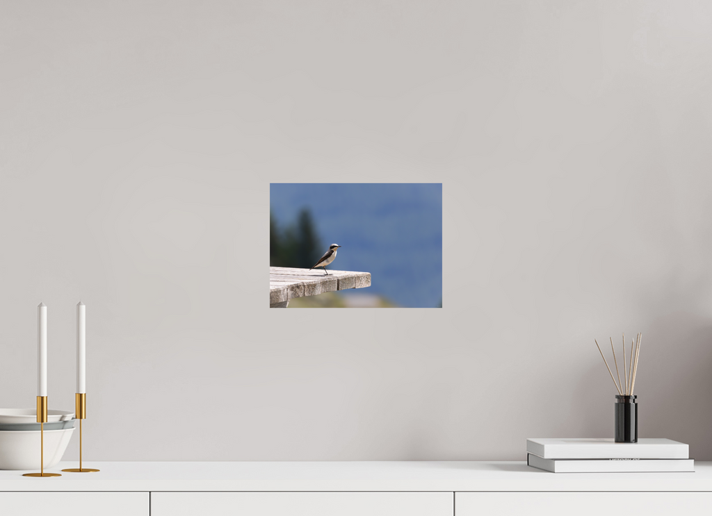 27,6 x 20 cm, Tirage Fine Art mat Le guetteur