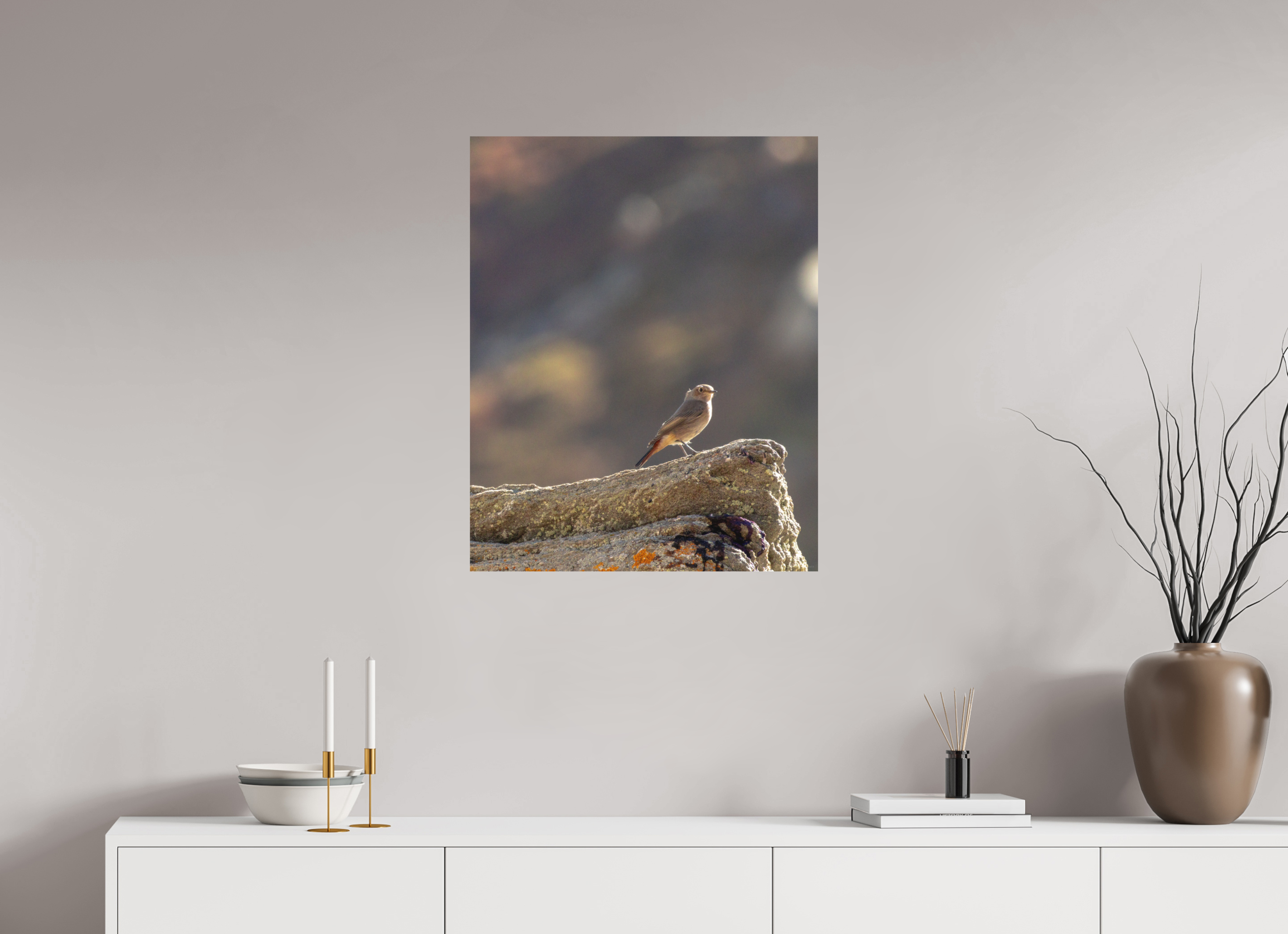 60 x 75 cm, Tirage Fine Art mat Rouge-queue veilleur du matin