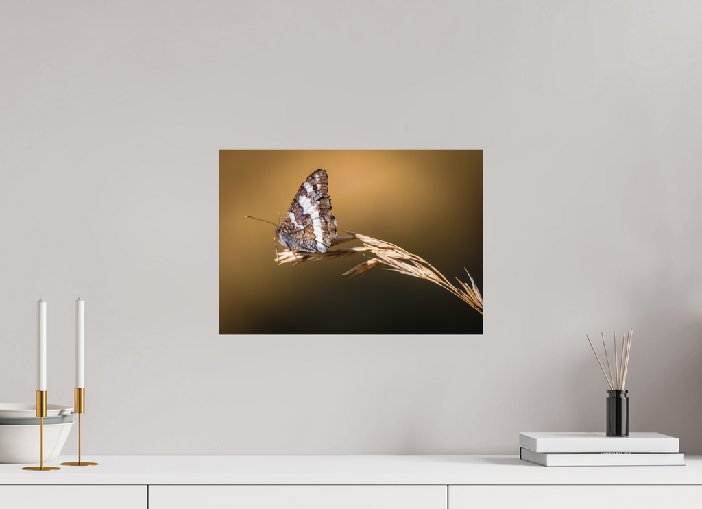 42,8 x 30 cm, Tirage Fine Art mat Suspendu à l'été