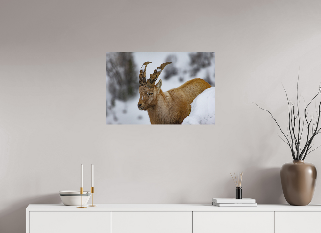 75 x 50 cm, Tirage Fine Art mat La patience du monde