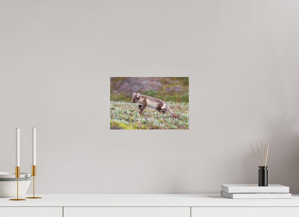 30 x 20 cm, Tirage Fine Art mat Regard arctique