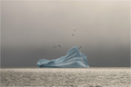 Main image Solitude