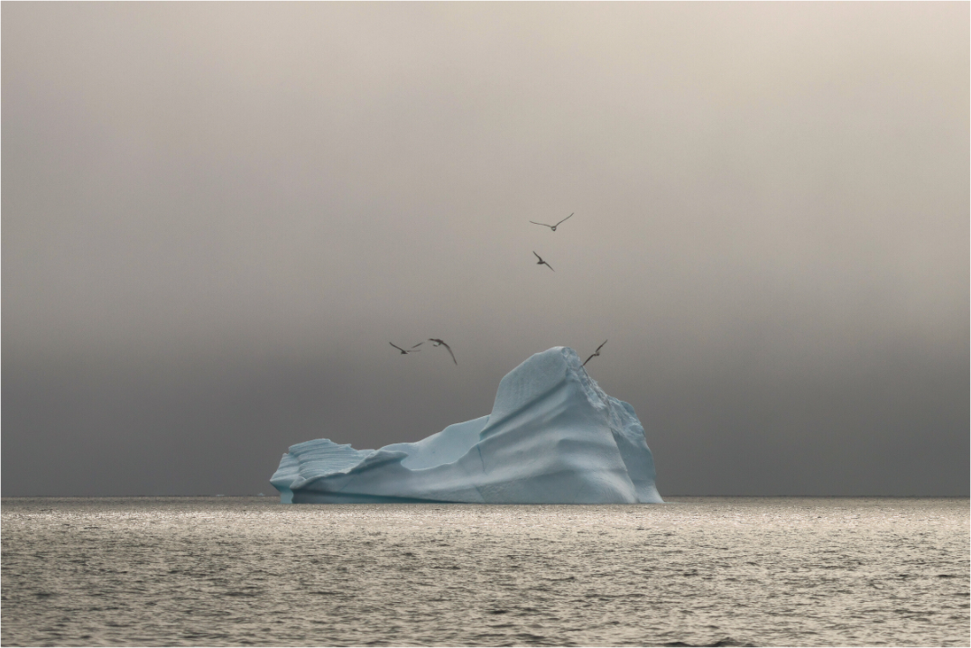 Main image Solitude