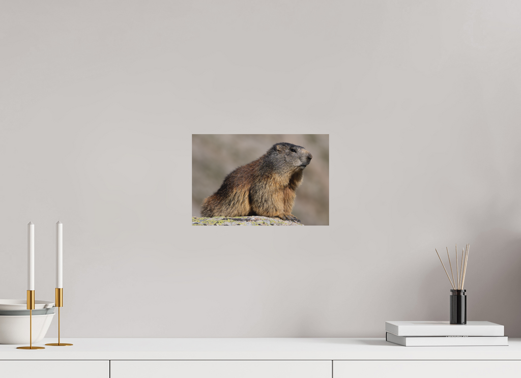 30 x 20 cm, Tirage Fine Art mat Figure alpine