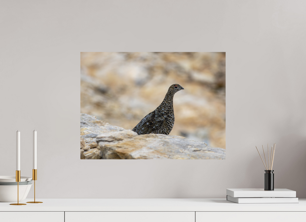 54,1 x 40 cm, Tirage Fine Art mat Gardienne