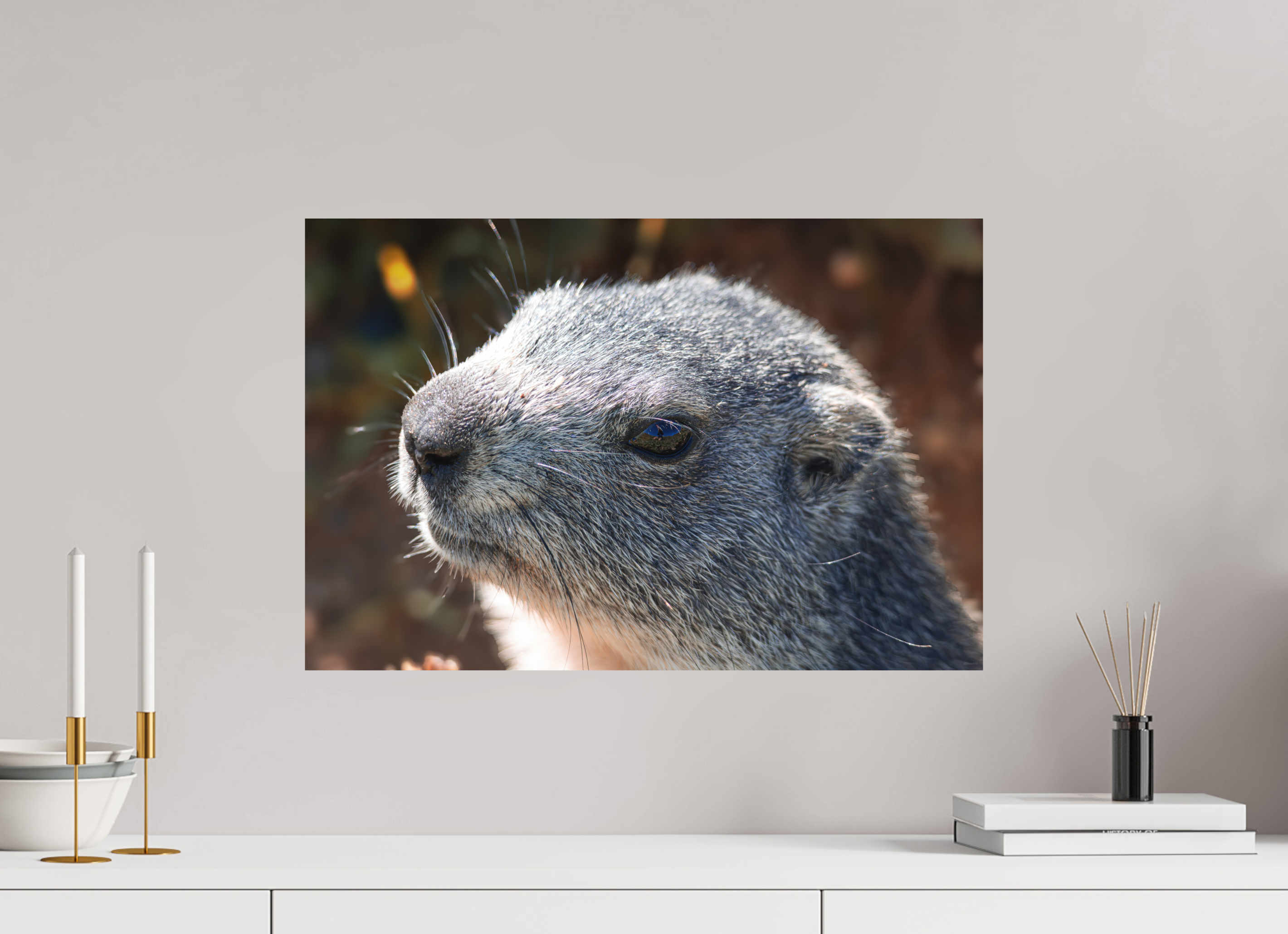 60 x 40 cm, Tirage Fine Art mat Regard miroir